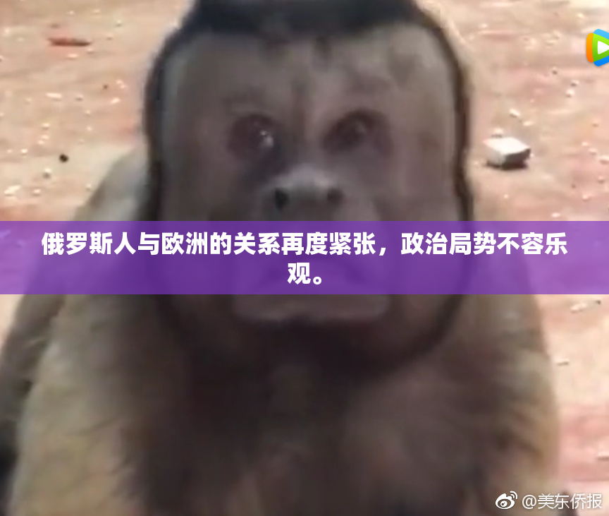俄罗斯人与欧洲的关系再度紧张，政治局势不容乐观。