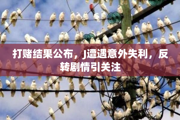 打赌结果公布，J遭遇意外失利，反转剧情引关注