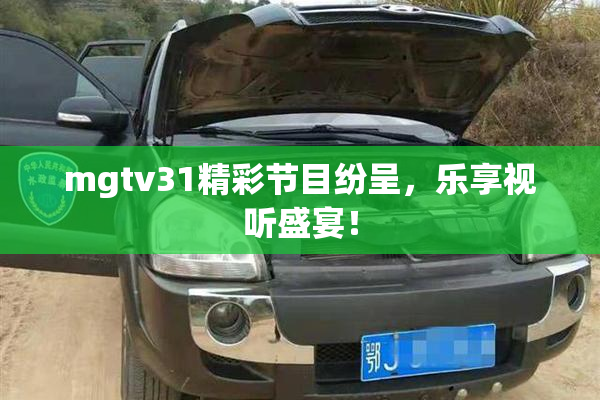 mgtv31精彩节目纷呈，乐享视听盛宴！