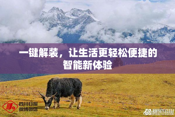 一键解装，让生活更轻松便捷的智能新体验