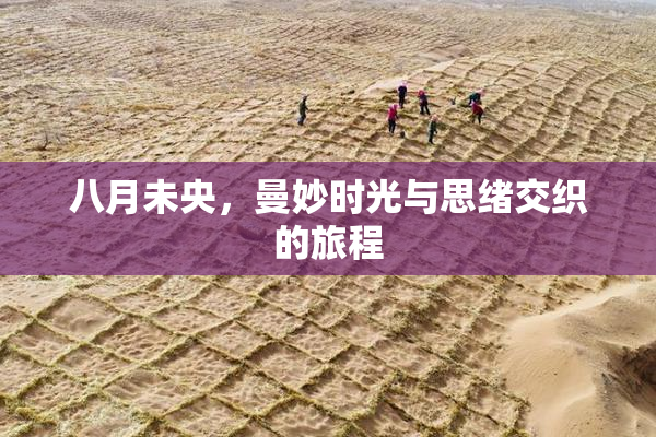 八月未央，曼妙时光与思绪交织的旅程