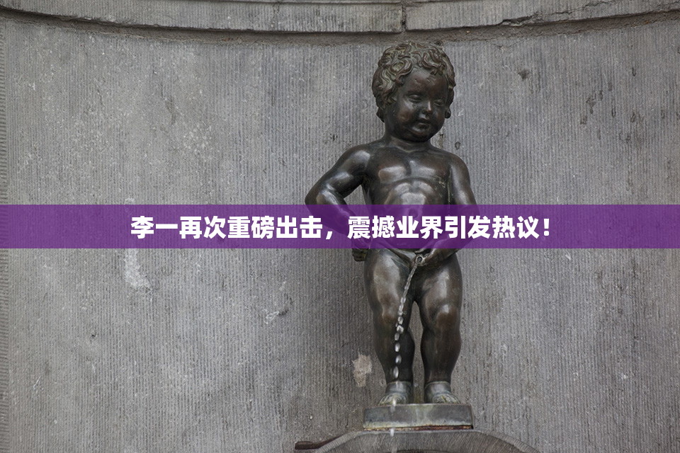 李一再次重磅出击，震撼业界引发热议！