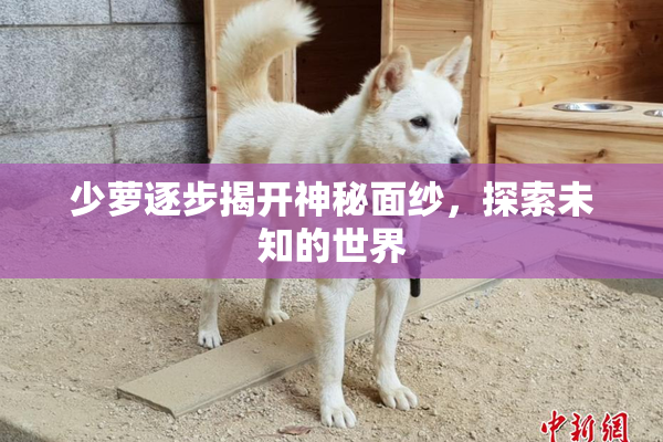 少萝逐步揭开神秘面纱，探索未知的世界