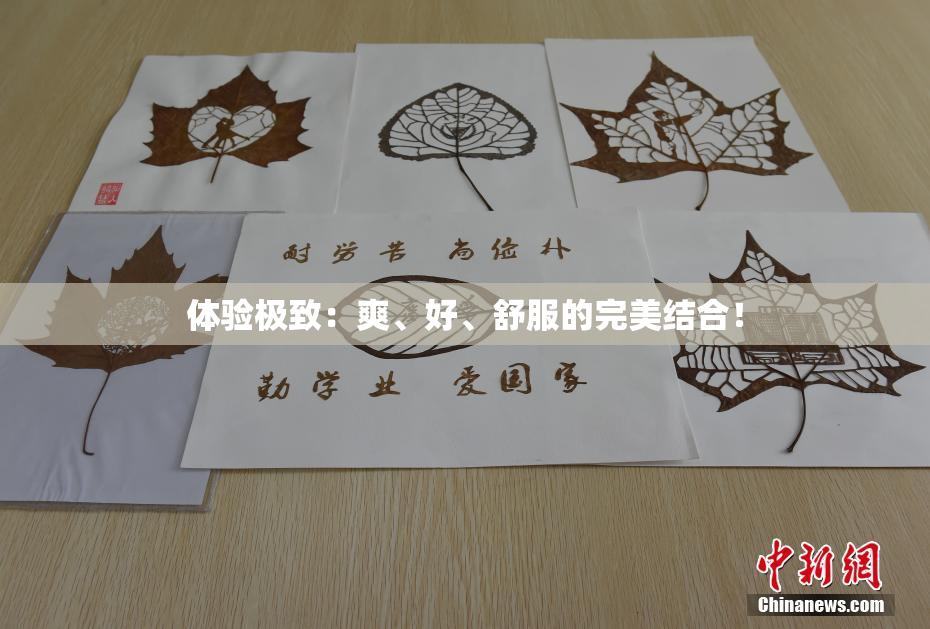 体验极致：爽、好、舒服的完美结合！