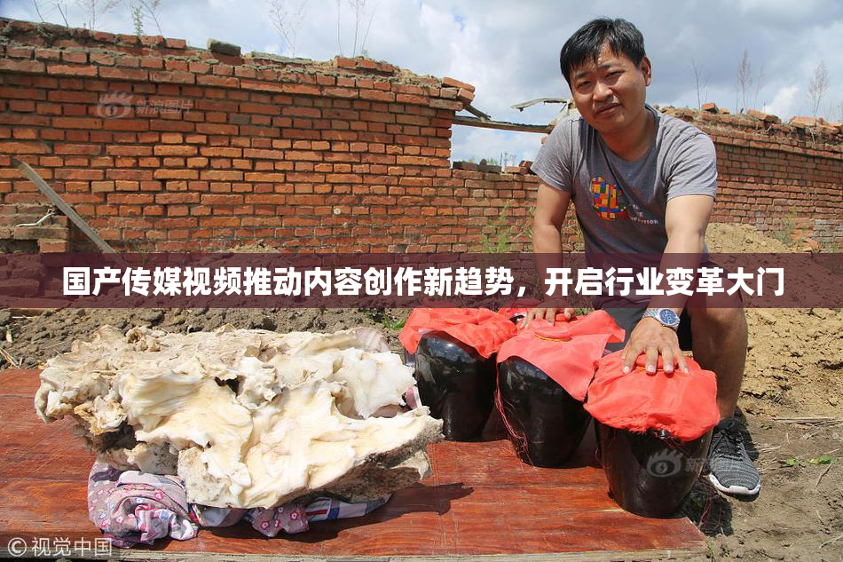 国产传媒视频推动内容创作新趋势，开启行业变革大门