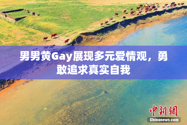 男男黄Gay展现多元爱情观，勇敢追求真实自我