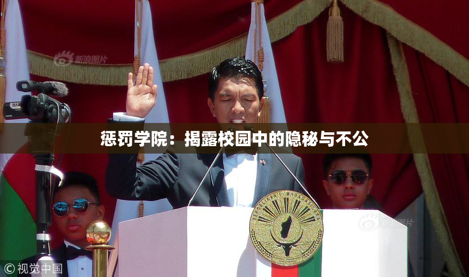 惩罚学院：揭露校园中的隐秘与不公
