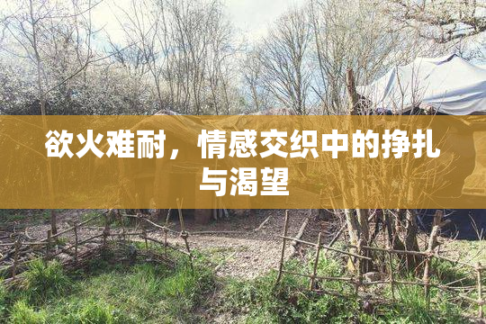 欲火难耐，情感交织中的挣扎与渴望