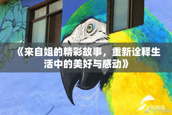《来自姐的精彩故事，重新诠释生活中的美好与感动》
