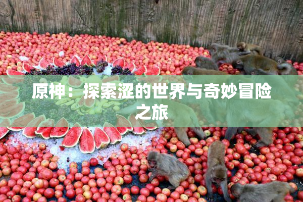 原神：探索涩的世界与奇妙冒险之旅