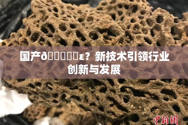 国产🔞❌‌ε？新技术引领行业创新与发展