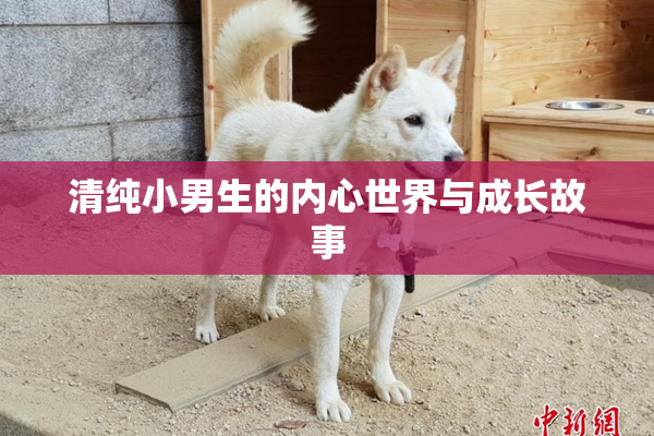 清纯小男生的内心世界与成长故事