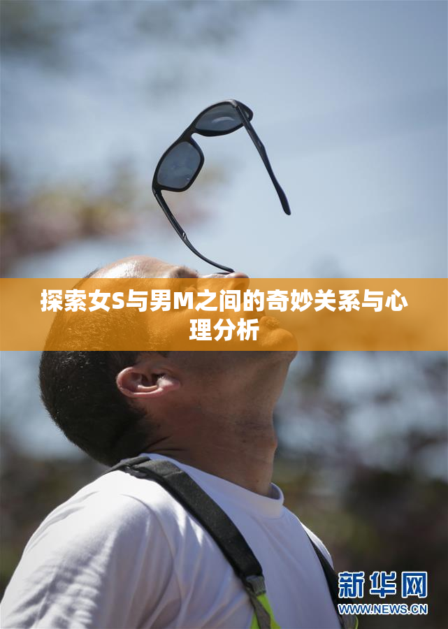 探索女S与男M之间的奇妙关系与心理分析