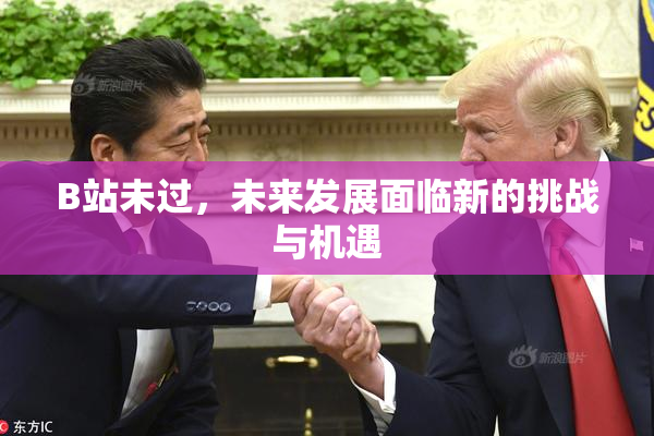B站未过，未来发展面临新的挑战与机遇