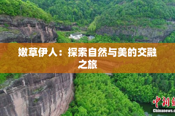 嫩草伊人：探索自然与美的交融之旅