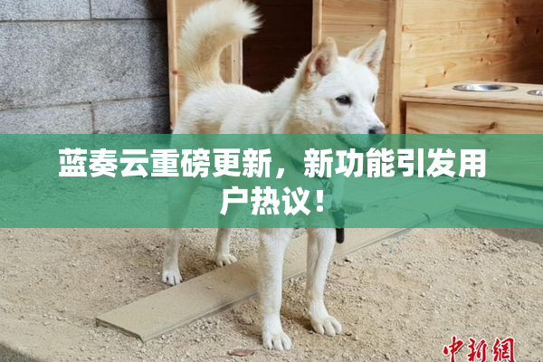 蓝奏云重磅更新，新功能引发用户热议！