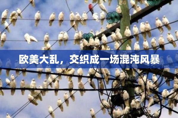 欧美大乱，交织成一场混沌风暴