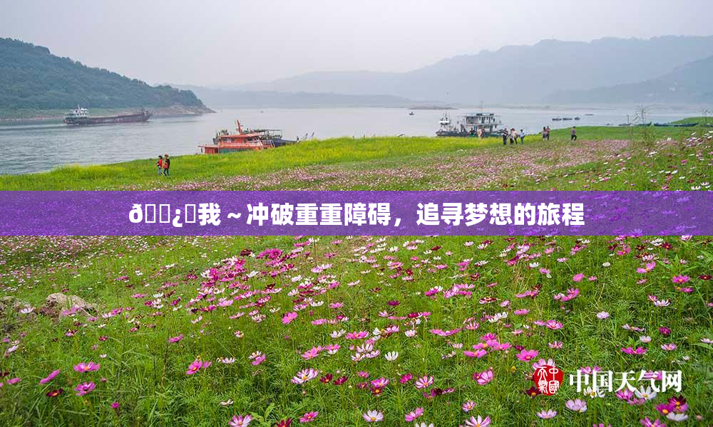 🌿‌我～冲破重重障碍，追寻梦想的旅程