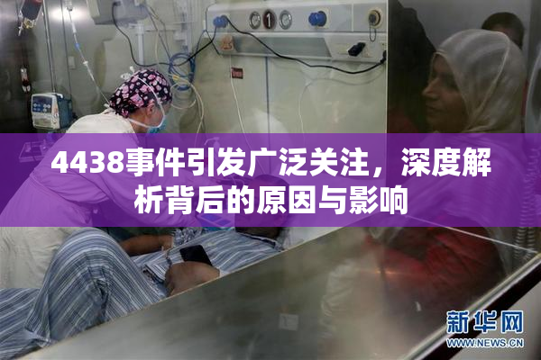 4438事件引发广泛关注，深度解析背后的原因与影响