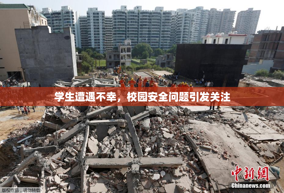 学生遭遇不幸，校园安全问题引发关注