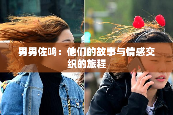 男男佐鸣：他们的故事与情感交织的旅程