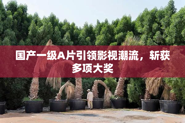 国产一级A片引领影视潮流，斩获多项大奖