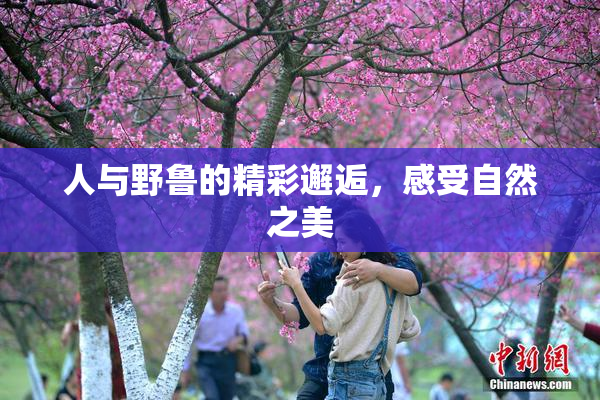 人与野鲁的精彩邂逅，感受自然之美
