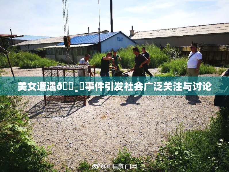美女遭遇🌸‌事件引发社会广泛关注与讨论