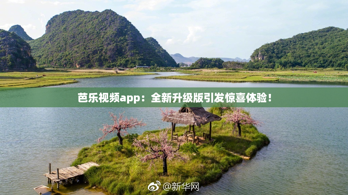芭乐视频app：全新升级版引发惊喜体验！