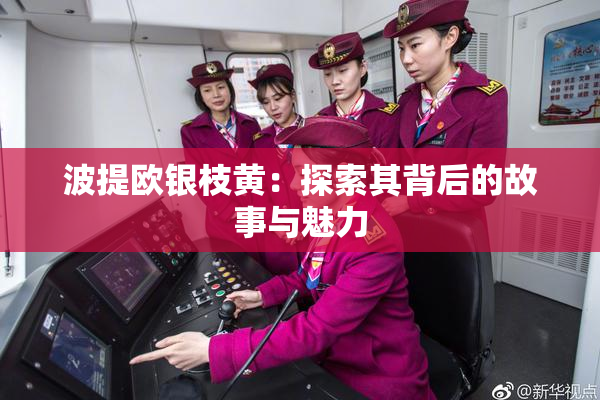 波提欧银枝黄：探索其背后的故事与魅力