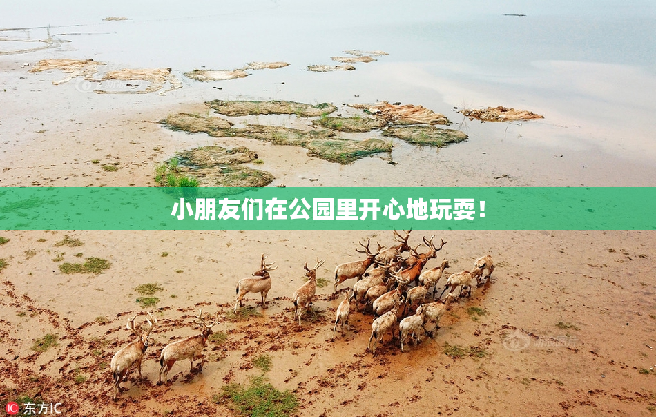 小朋友们在公园里开心地玩耍！