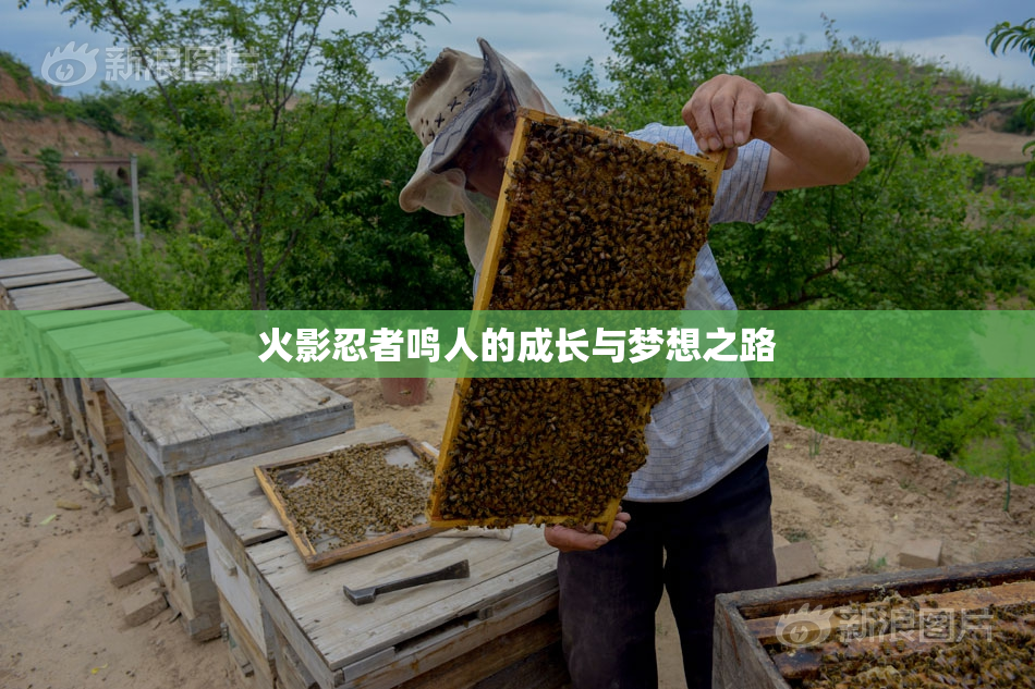 火影忍者鸣人的成长与梦想之路
