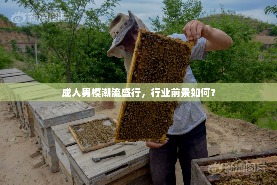 成人男模潮流盛行，行业前景如何？