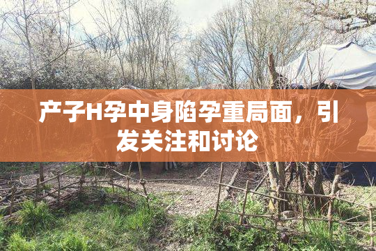 产子H孕中身陷孕重局面，引发关注和讨论