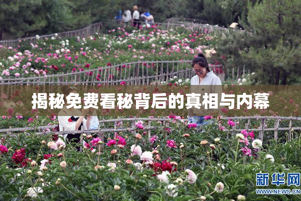 揭秘免费看秘背后的真相与内幕