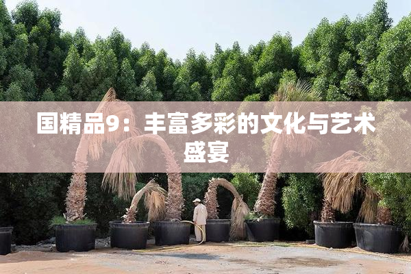 国精品9：丰富多彩的文化与艺术盛宴