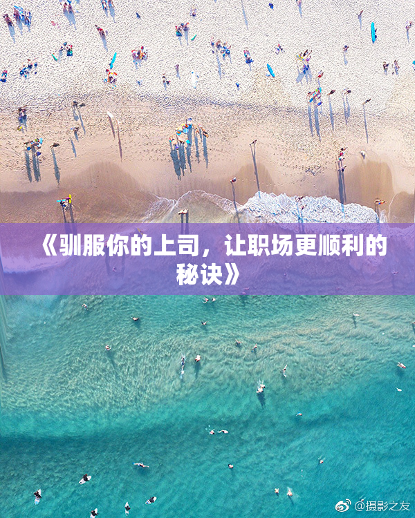 《驯服你的上司，让职场更顺利的秘诀》