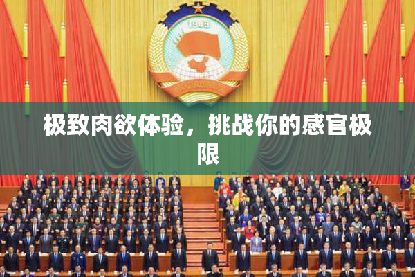 极致肉欲体验，挑战你的感官极限