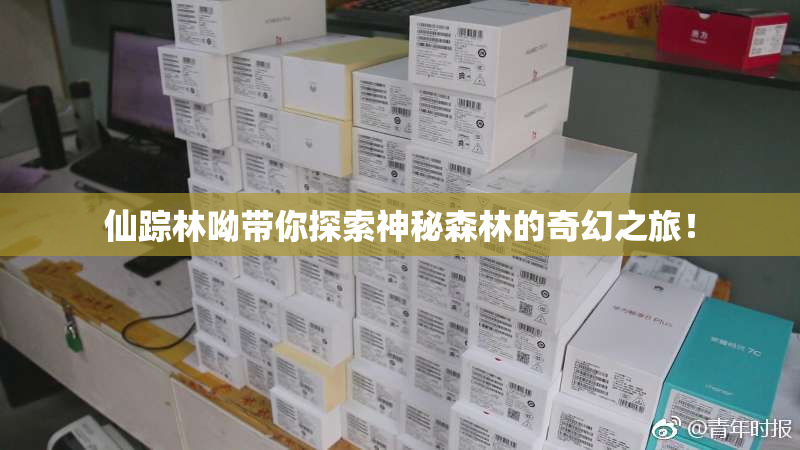 仙踪林呦带你探索神秘森林的奇幻之旅！