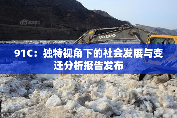 91C：独特视角下的社会发展与变迁分析报告发布