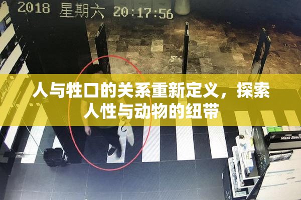 人与牲口的关系重新定义，探索人性与动物的纽带