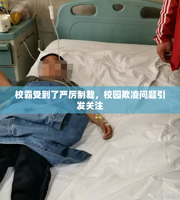 校霸受到了严厉制裁，校园欺凌问题引发关注