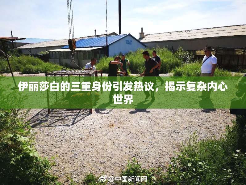 伊丽莎白的三重身份引发热议，揭示复杂内心世界