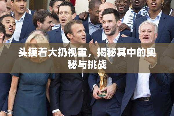 头摸着大扔视重，揭秘其中的奥秘与挑战