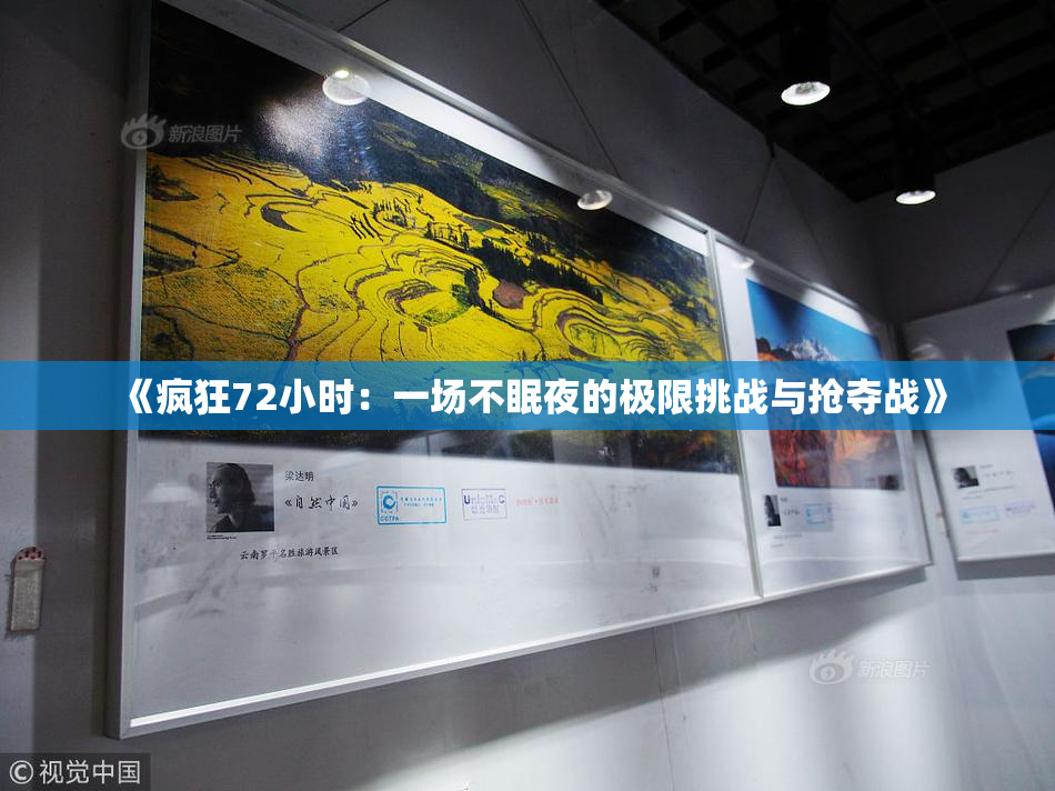《疯狂72小时：一场不眠夜的极限挑战与抢夺战》