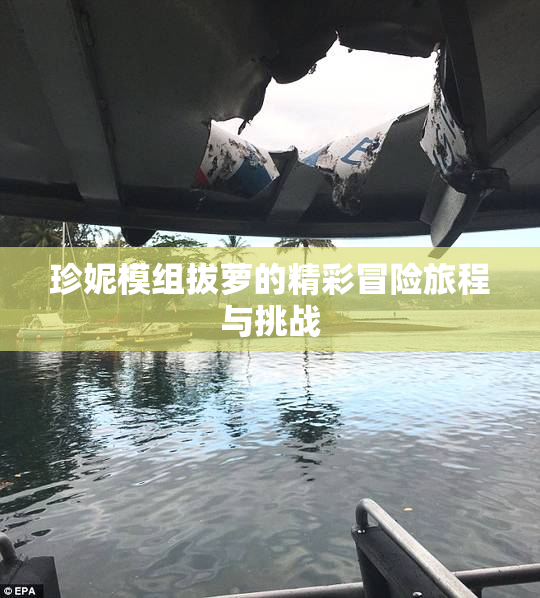 珍妮模组拔萝的精彩冒险旅程与挑战
