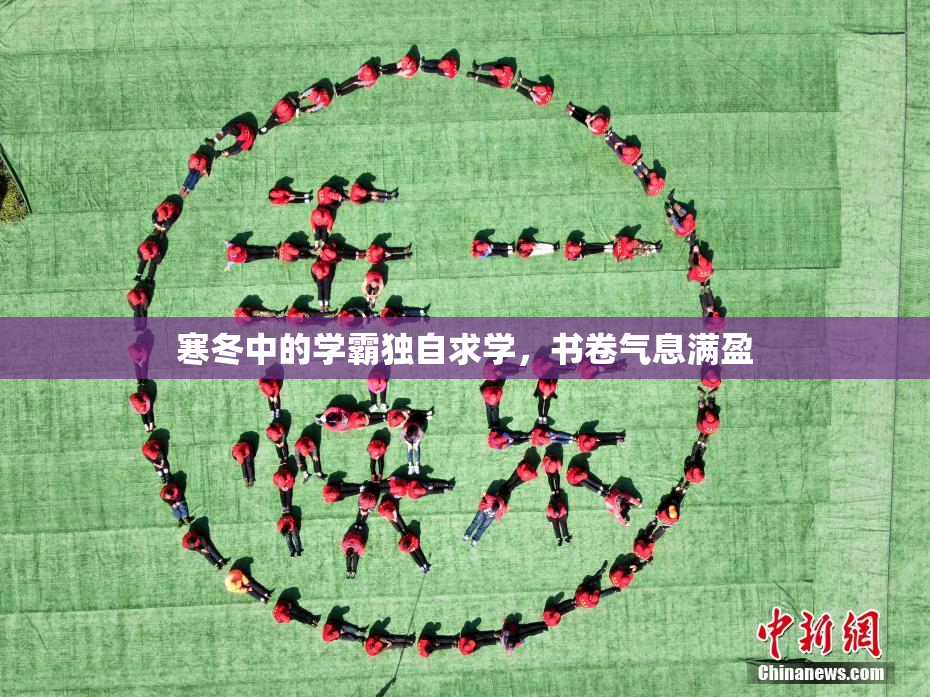 寒冬中的学霸独自求学，书卷气息满盈