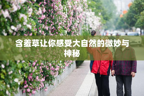 含羞草让你感受大自然的微妙与神秘