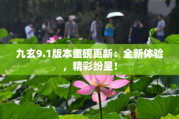 九玄9.1版本重磅更新：全新体验，精彩纷呈！