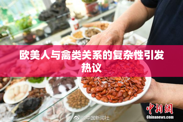 欧美人与禽类关系的复杂性引发热议